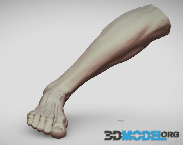 Male Foot 5 (PBR)