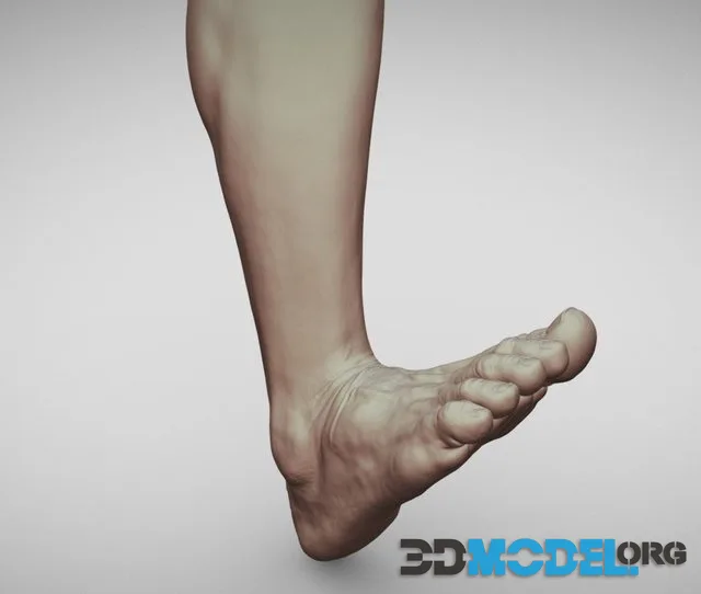 Male Foot 9 (PBR)