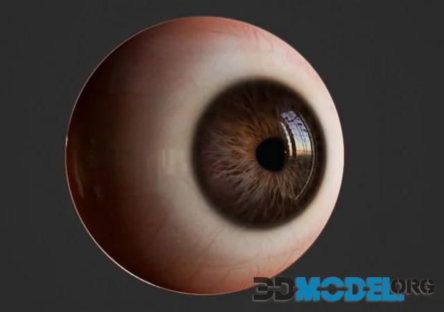 Realistic Human eye (PBR)