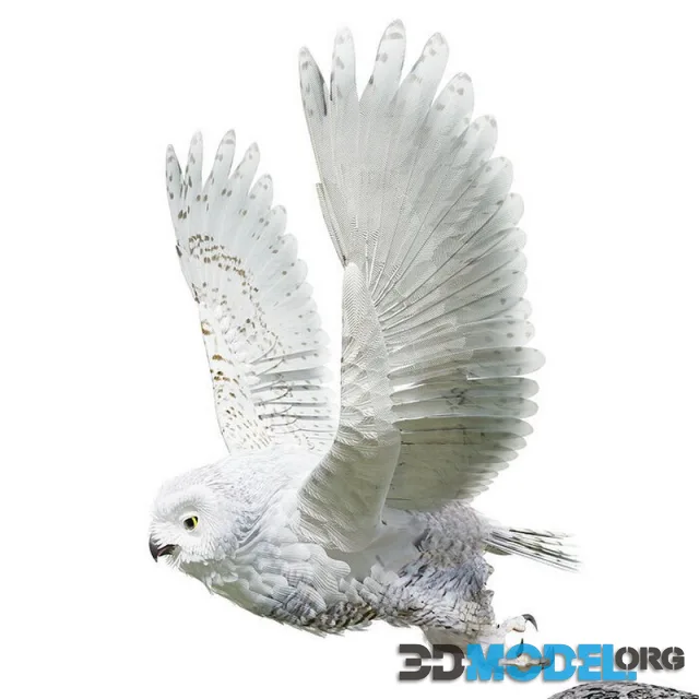 Snow Owl – BLENDER (PBR)
