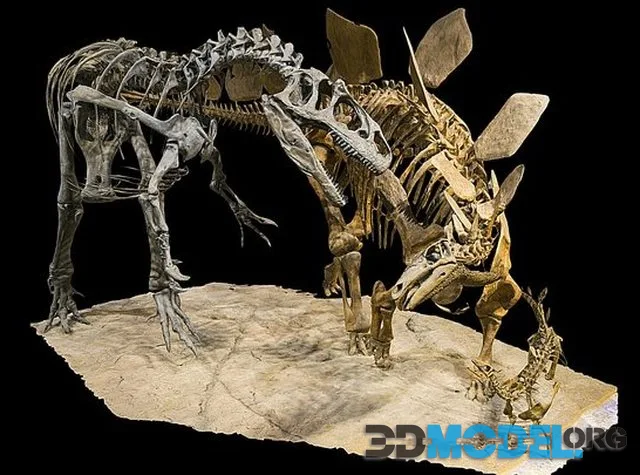 Stegosaurus Stenops Vs Allosaurus Fragilis (PBR)