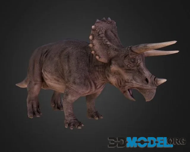 Realistic Triceratops (PBR)