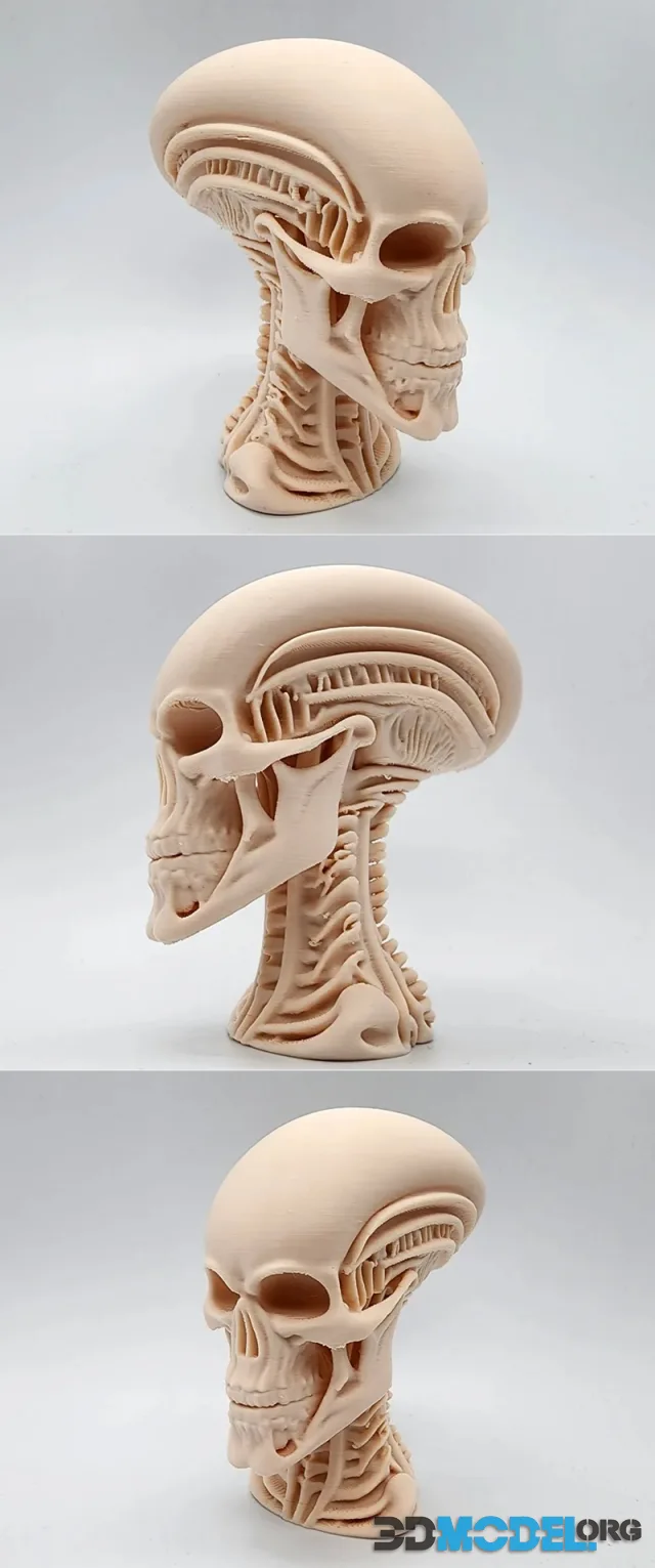 Skeletal Alien Bust – Printable