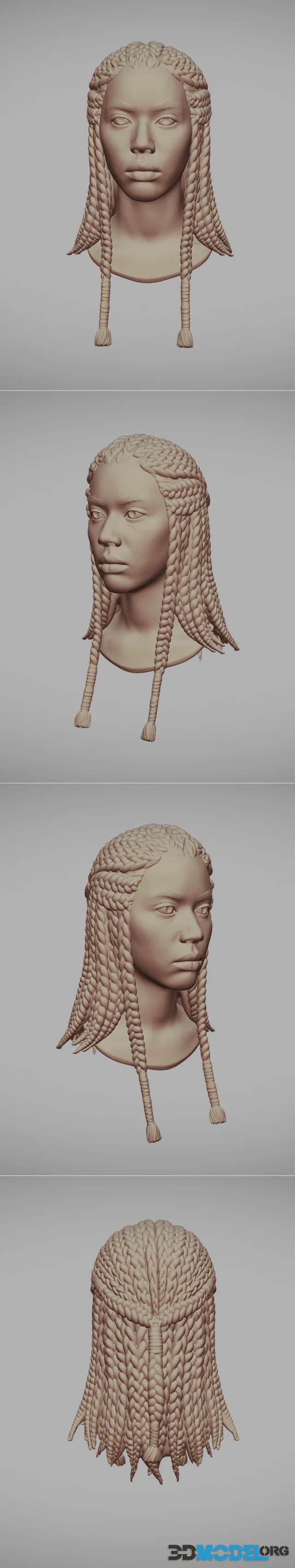 Female Head with Braids Hair – Printable