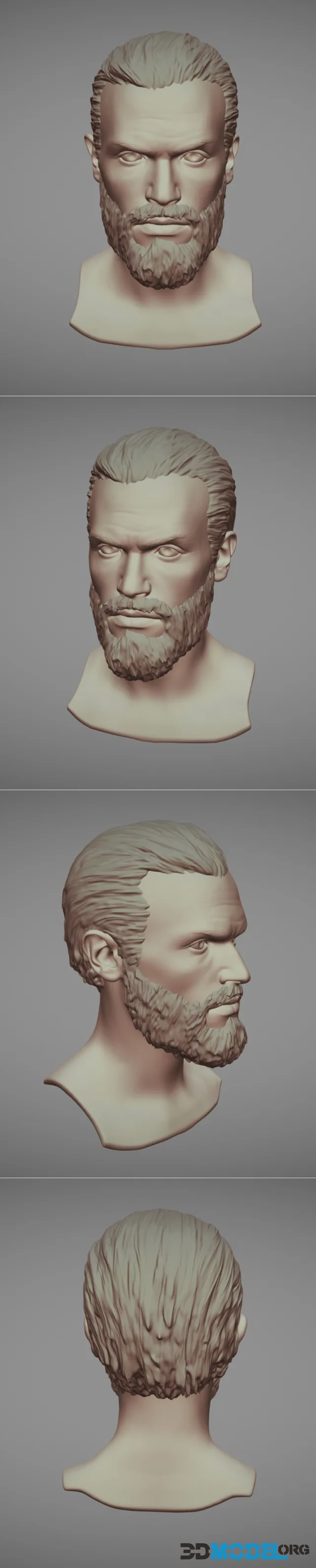 Male Head with Hair and Beard – Printable