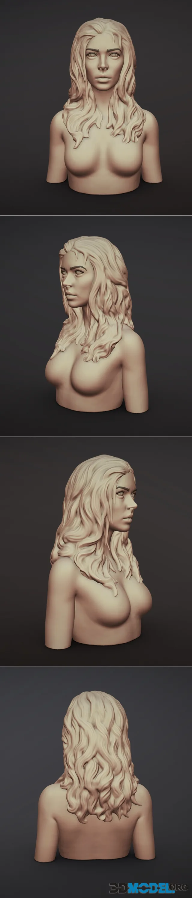 Female Bust With Hair – Printable