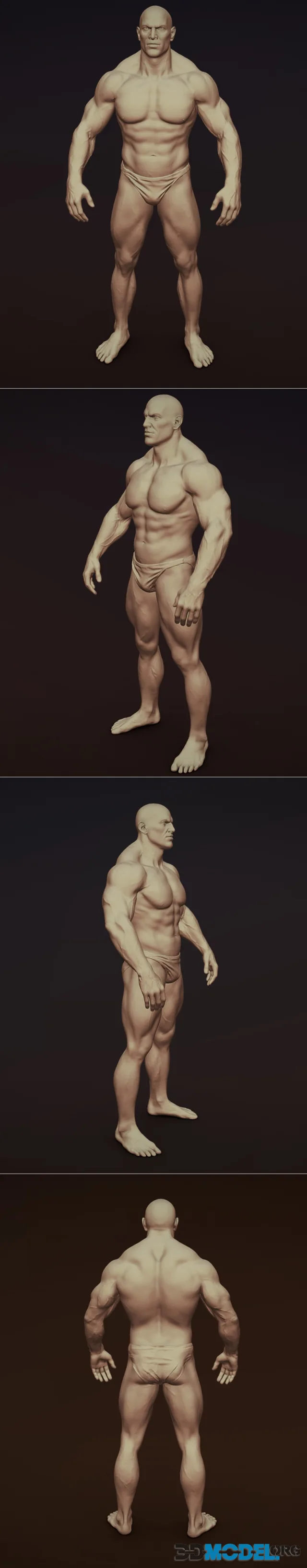 Brutal Male Character Sculpt – Printable
