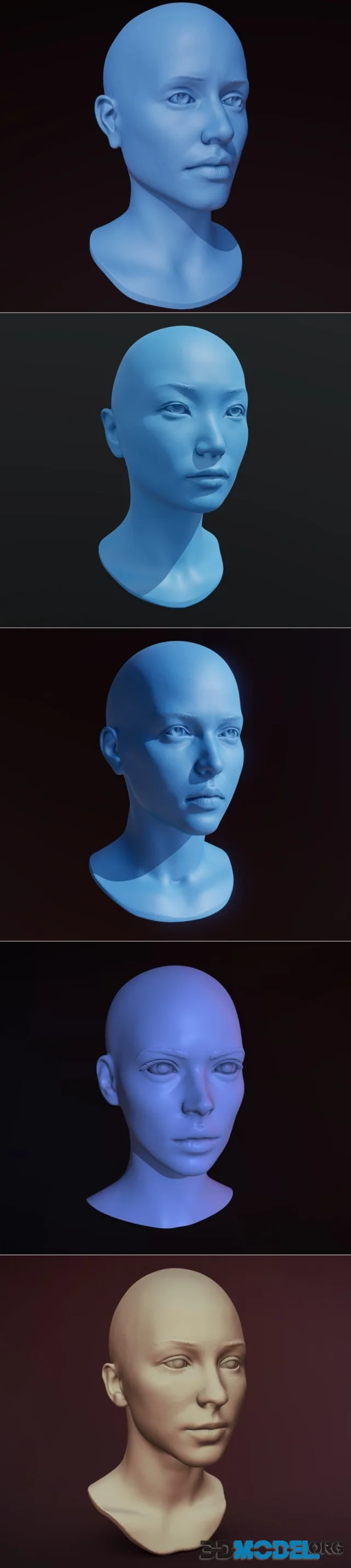 Female head 7-11 – Printable