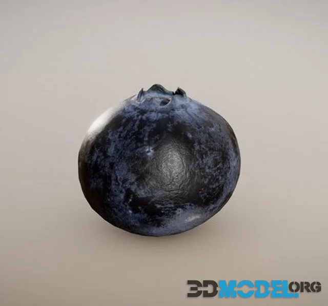 Gourmet Blueberry (Surface Macro) (PBR)