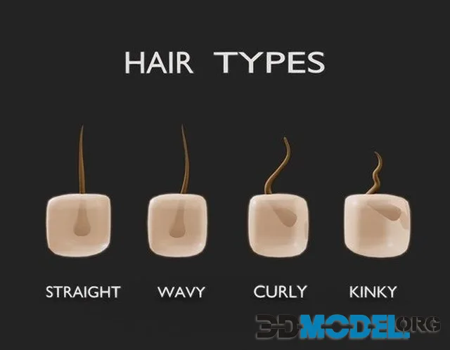 Hair Types (PBR)