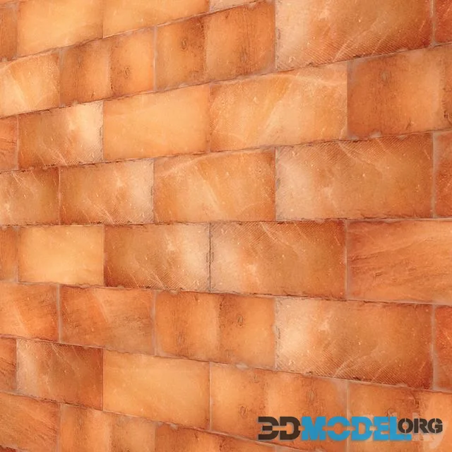 Himalayan salt wall