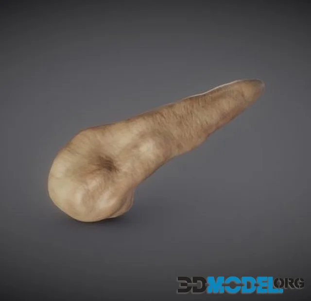 Pancreas (PBR)