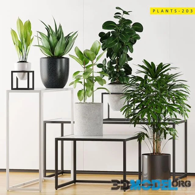 PLANTS 203