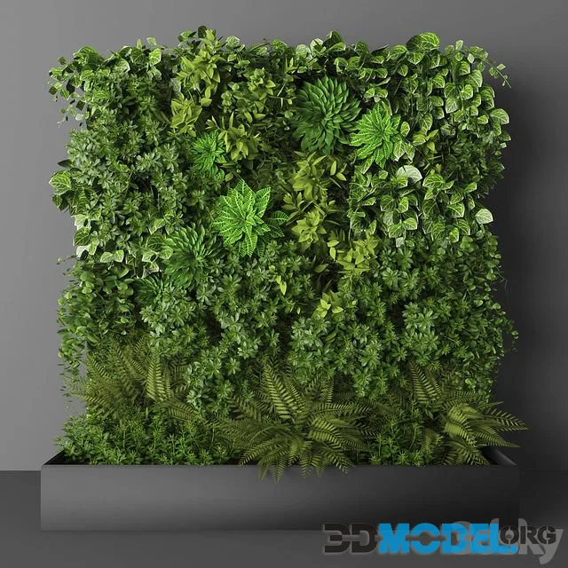 Vertical garden 144