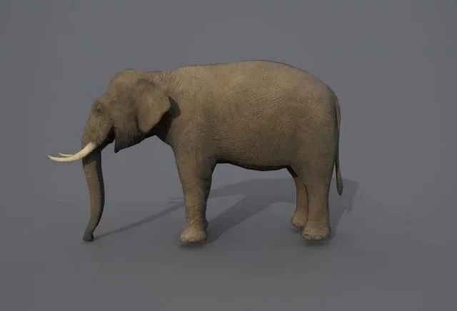 African Elephant (PBR)