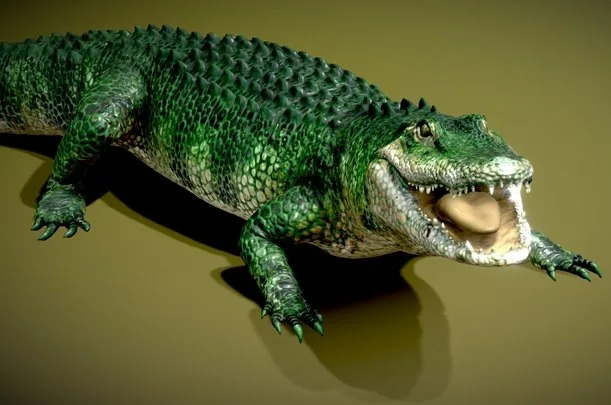 American Alligator (On Land) (PBR)