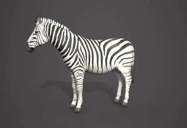 Animal Zebra (PBR)