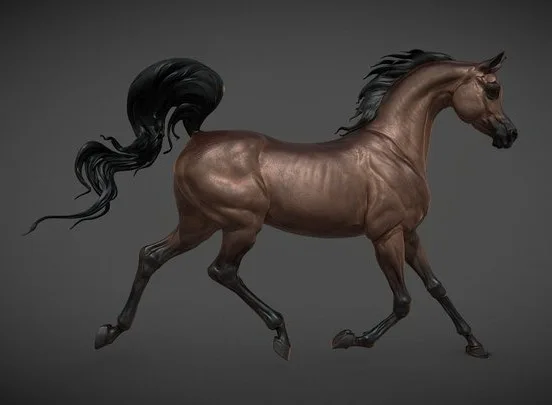 Arabian Horse 3D Sculpting (PBR)