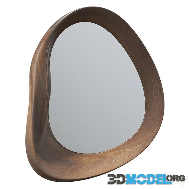 Asymmetric Mirror