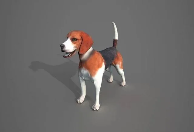 Beagle Dog Low-poly (PBR)