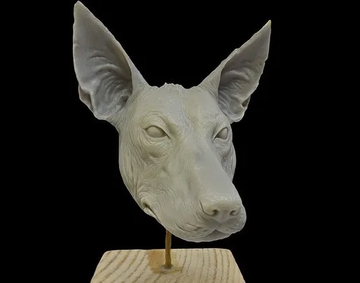 Dog Head By Allan Carrasco (PBR)