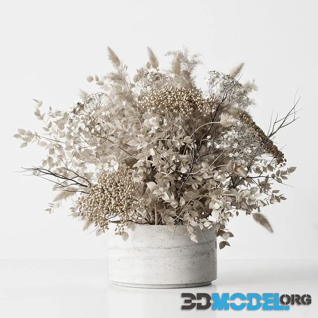 Dried Flower