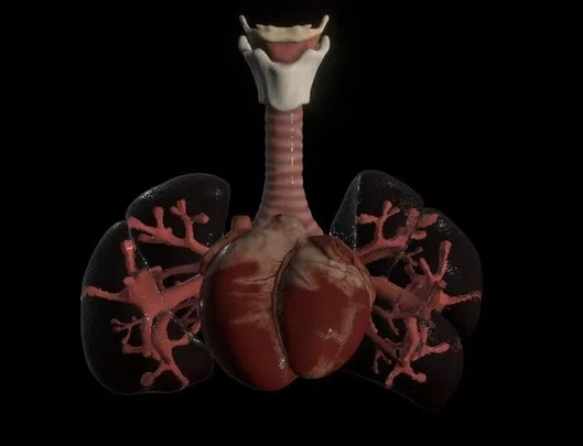 Heart And Lung Week Eight (PBR)