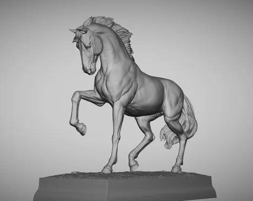 Horse 4 (PBR)