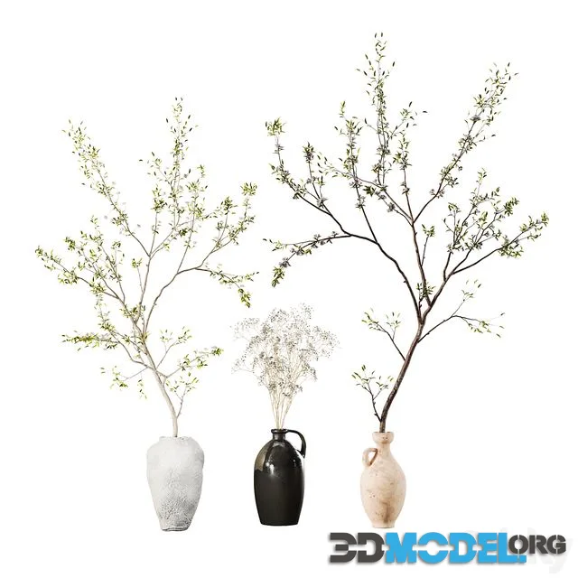 Indoor Plant 01