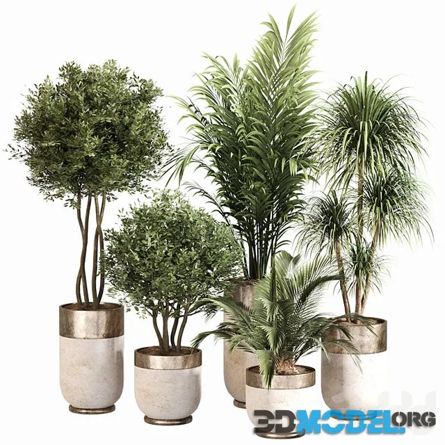Indoor Plant Set 053