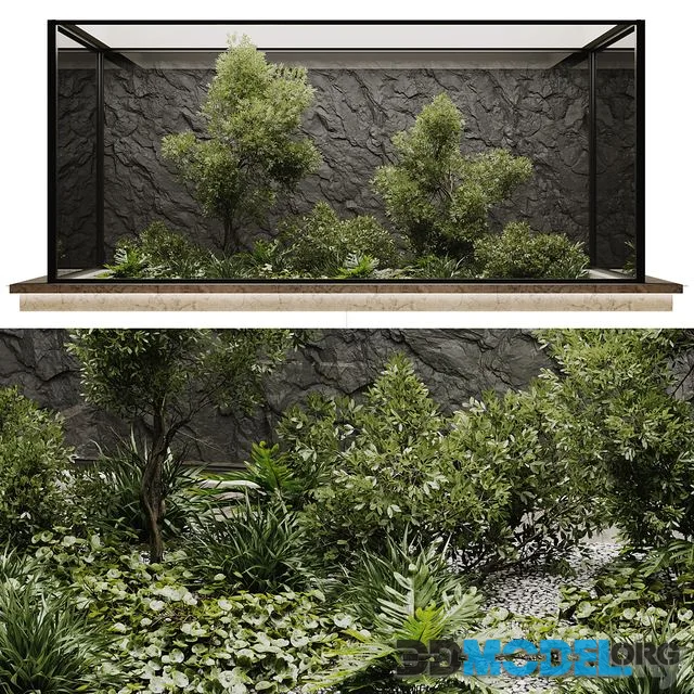 indoor plant set 50