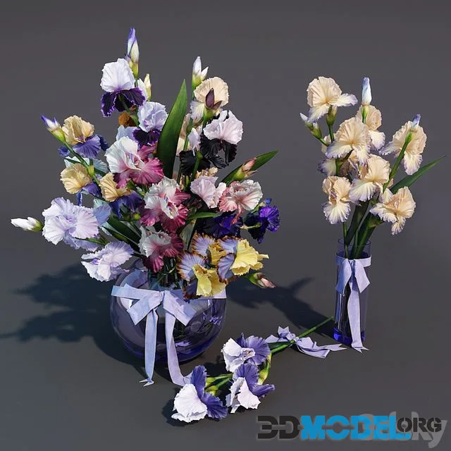 Irises (bouquet in a vases)