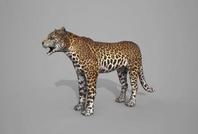 Leapord jaguar (PBR)
