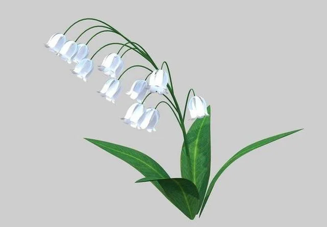 Lily of the valley Low-poly (PBR)