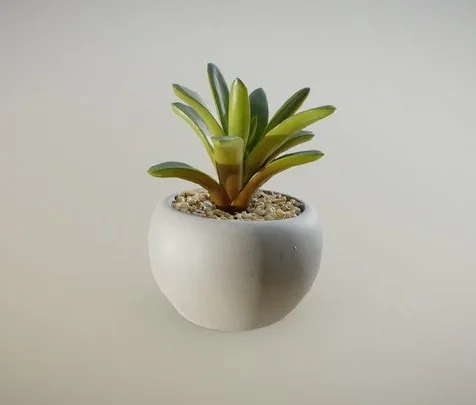 Mini Succulent Pot