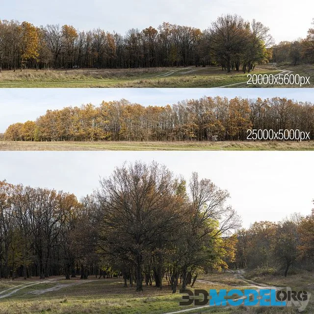Oak Grove. 2 panoramas