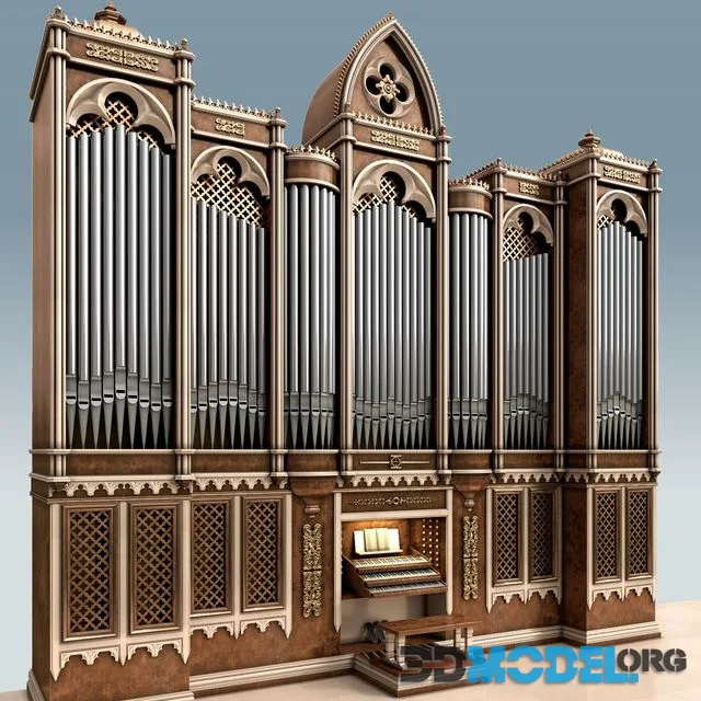 Organ