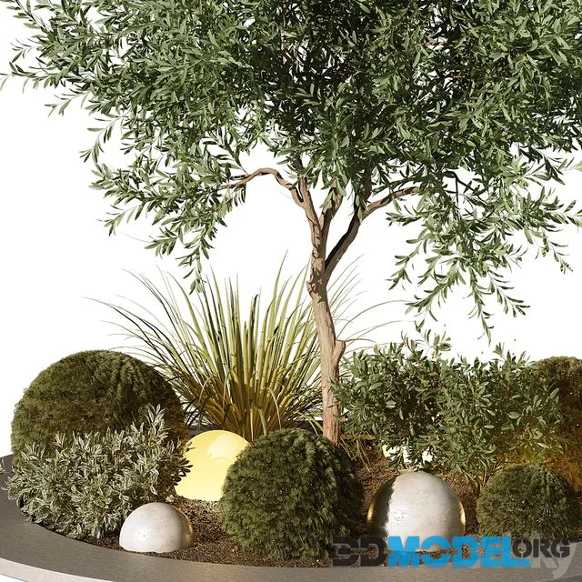 Outdoor Plant 196