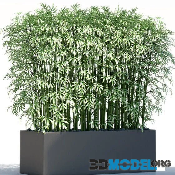 Plants 189