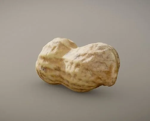 Salty Arachis Peanut (Surface Macro) (PBR)