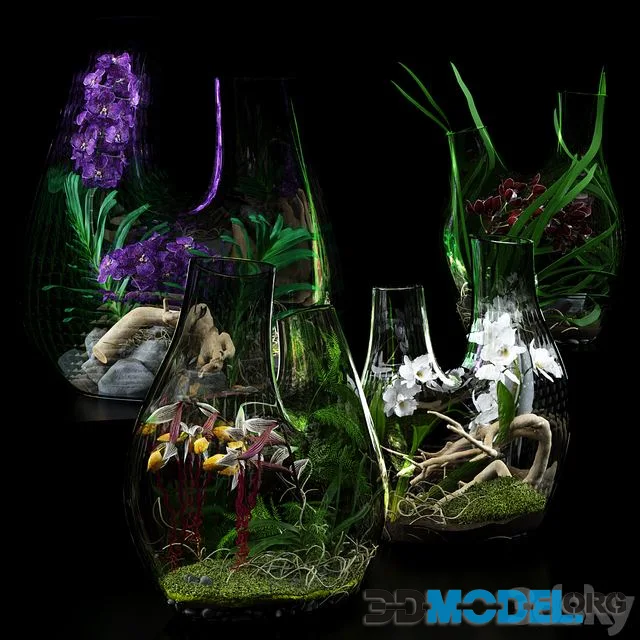 Terrarium vases with Orchids