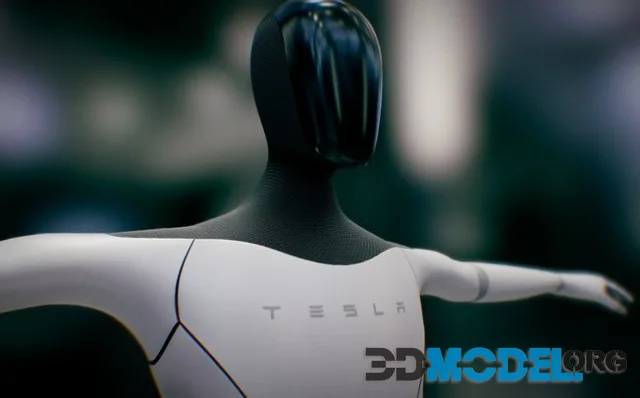Tesla BOT (PBR)