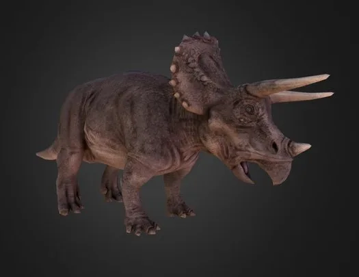 Triceratops (PBR)