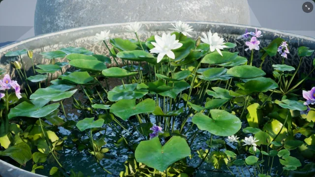 Water tank Aquatic_plants