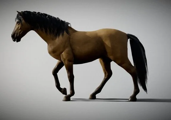 Horse (PBR)