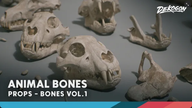 Bones VOL.1 - Animal Bones 1 (Nanite + Low Poly)