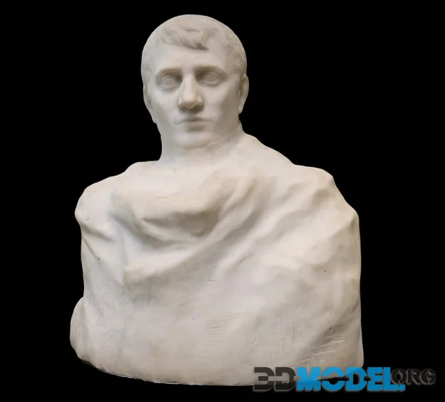 Bust Of Napoleon Auguste Rodin (PBR)