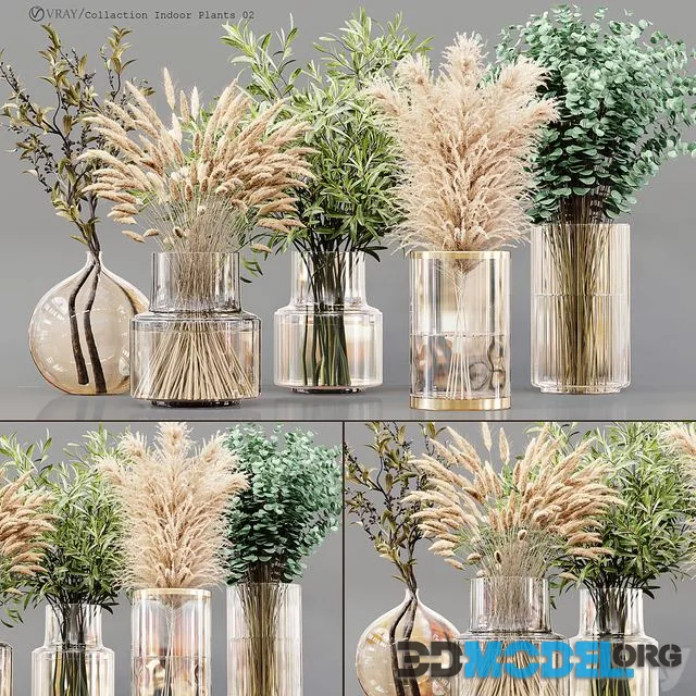 Collaction Indoor Plants 02