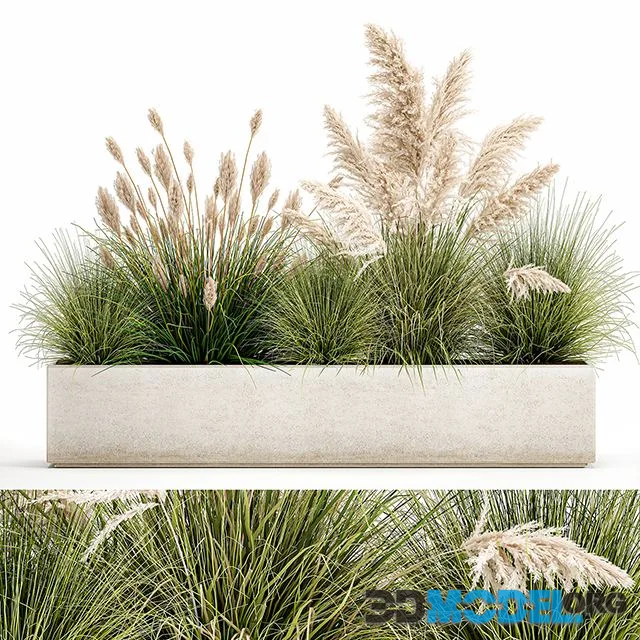 Collection of plants in a pot Set 1077