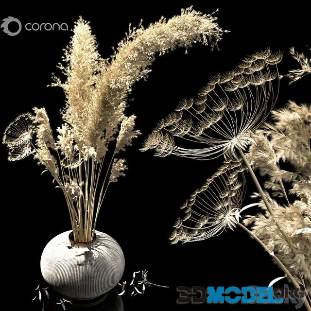 dried flowers tropic